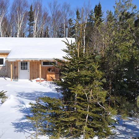 The Sleeping Moose Cottage Birch Plain Exteriör bild