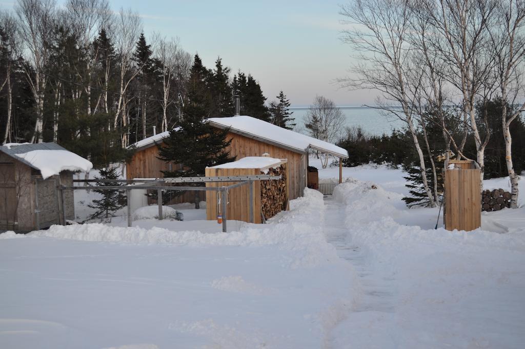 The Sleeping Moose Cottage Birch Plain Exteriör bild