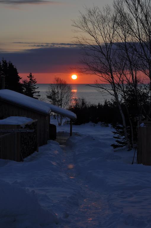 The Sleeping Moose Cottage Birch Plain Exteriör bild