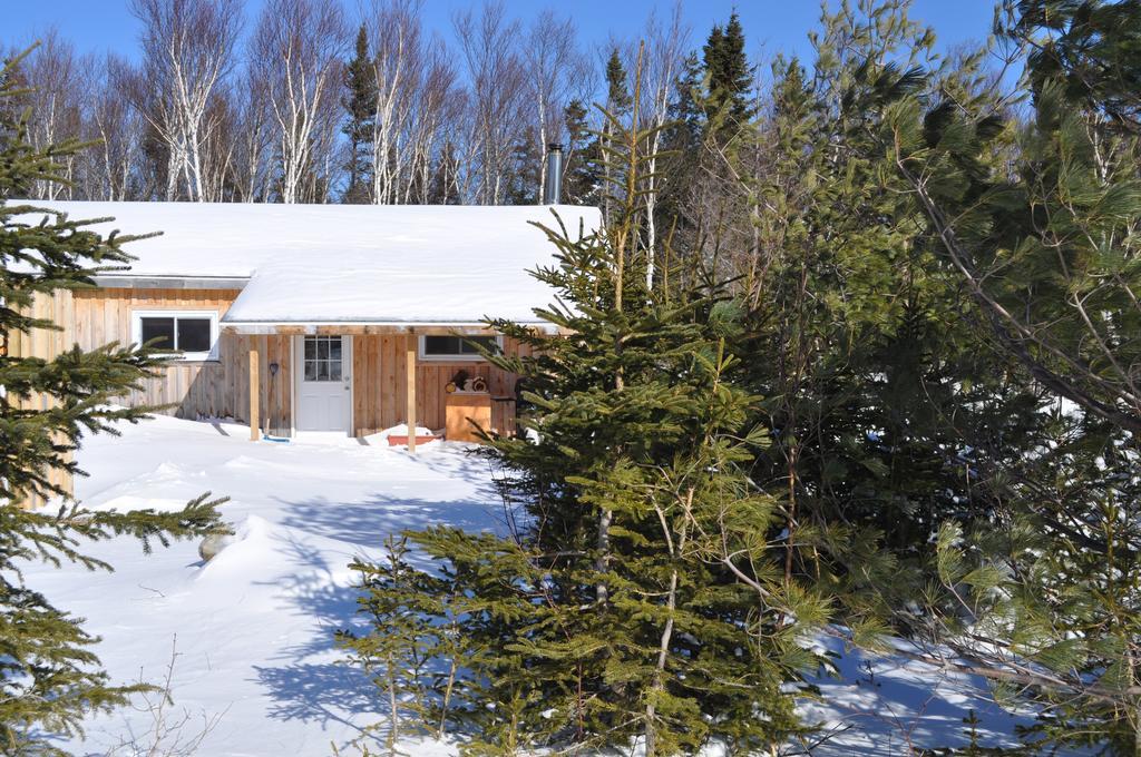 The Sleeping Moose Cottage Birch Plain Exteriör bild