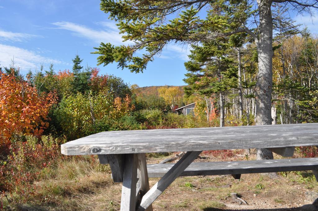 The Sleeping Moose Cottage Birch Plain Exteriör bild