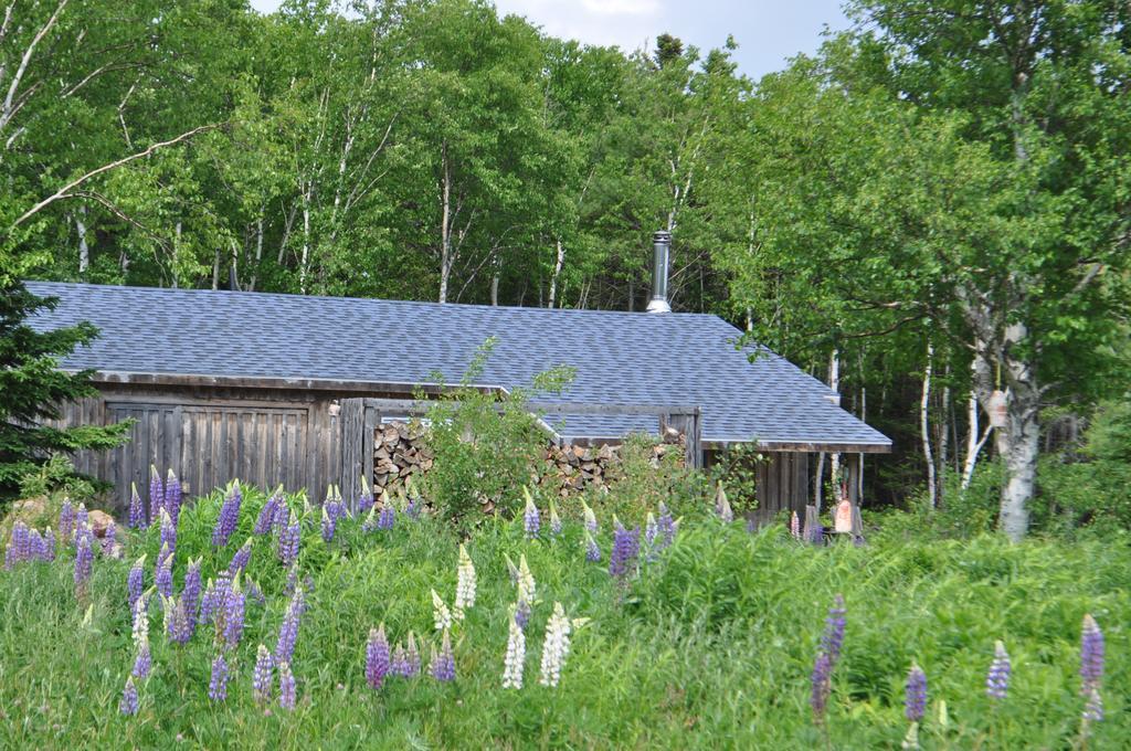 The Sleeping Moose Cottage Birch Plain Exteriör bild