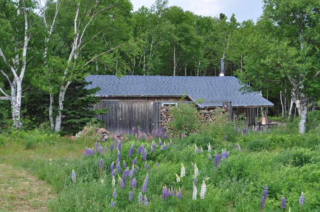 The Sleeping Moose Cottage Birch Plain Exteriör bild