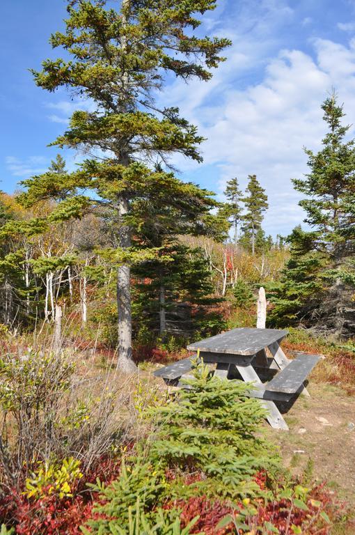 The Sleeping Moose Cottage Birch Plain Exteriör bild