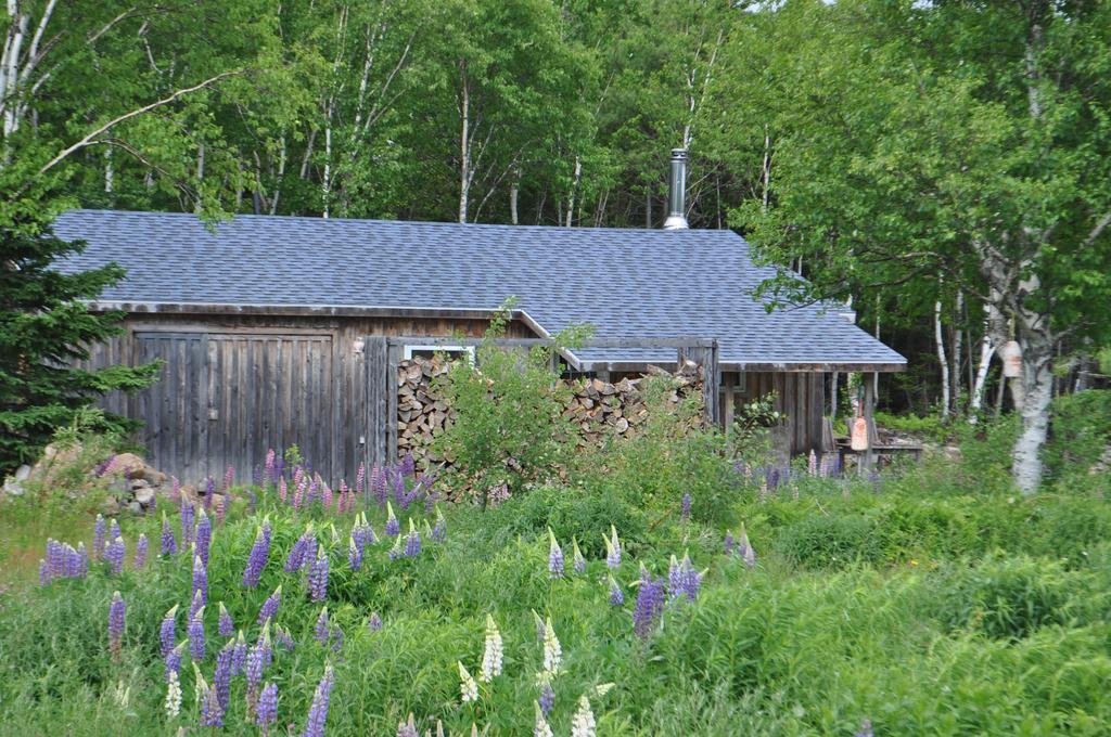 The Sleeping Moose Cottage Birch Plain Exteriör bild