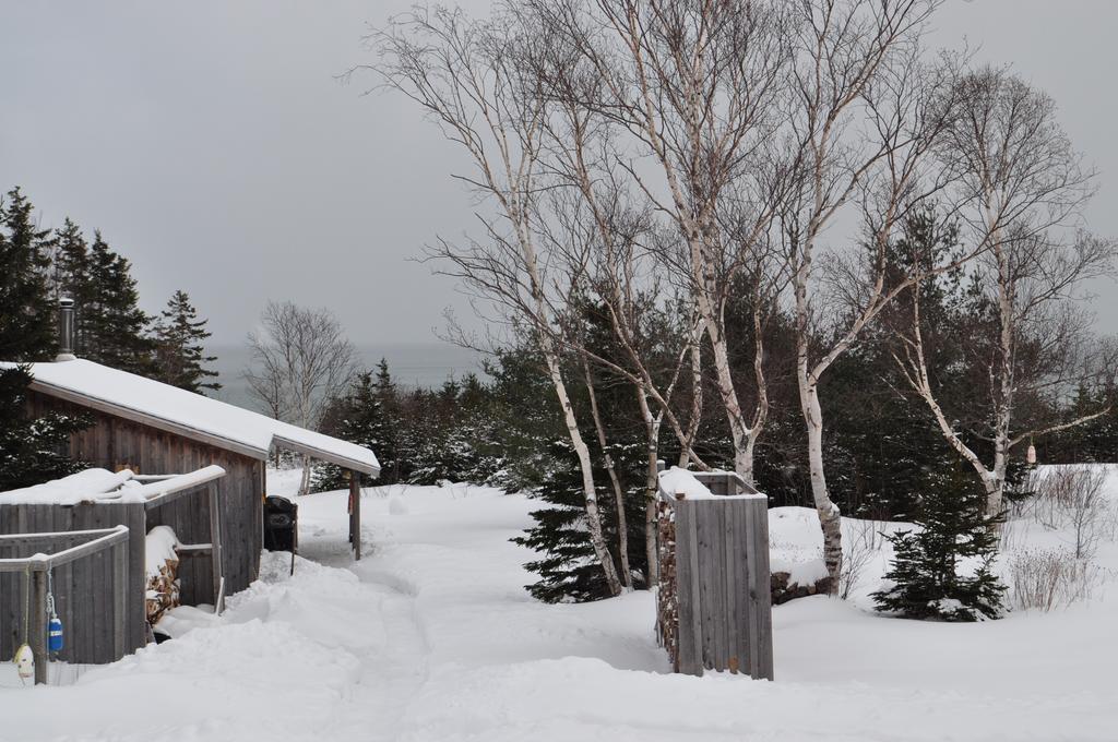 The Sleeping Moose Cottage Birch Plain Exteriör bild