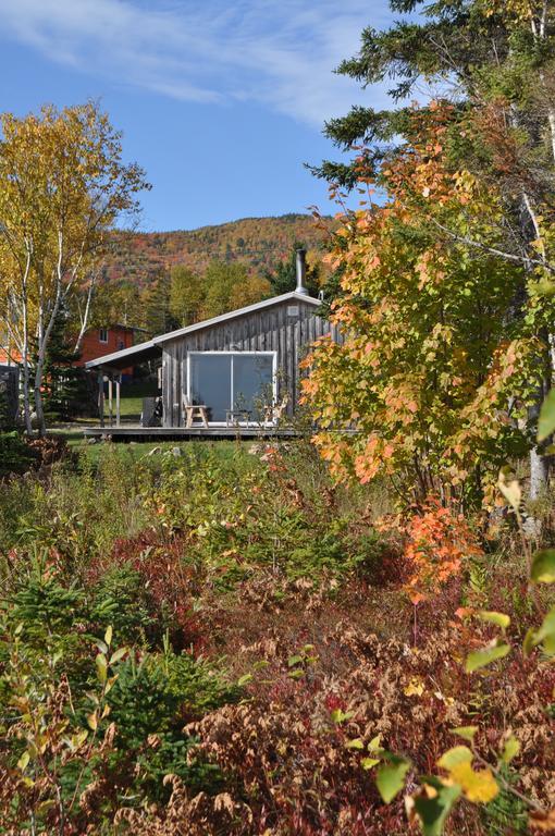 The Sleeping Moose Cottage Birch Plain Exteriör bild